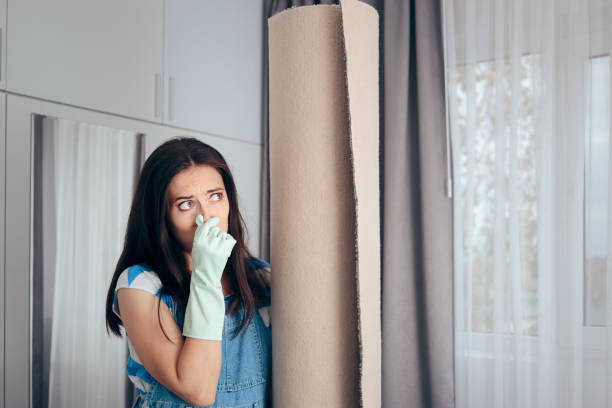 Mold Odor Removal Services